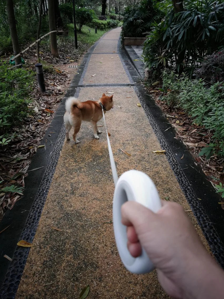 MOESTAR UFO 2.6m Retractable Pet Leash Rechargeable LED Night Light 50kg Static Tension Dog Traction Rope