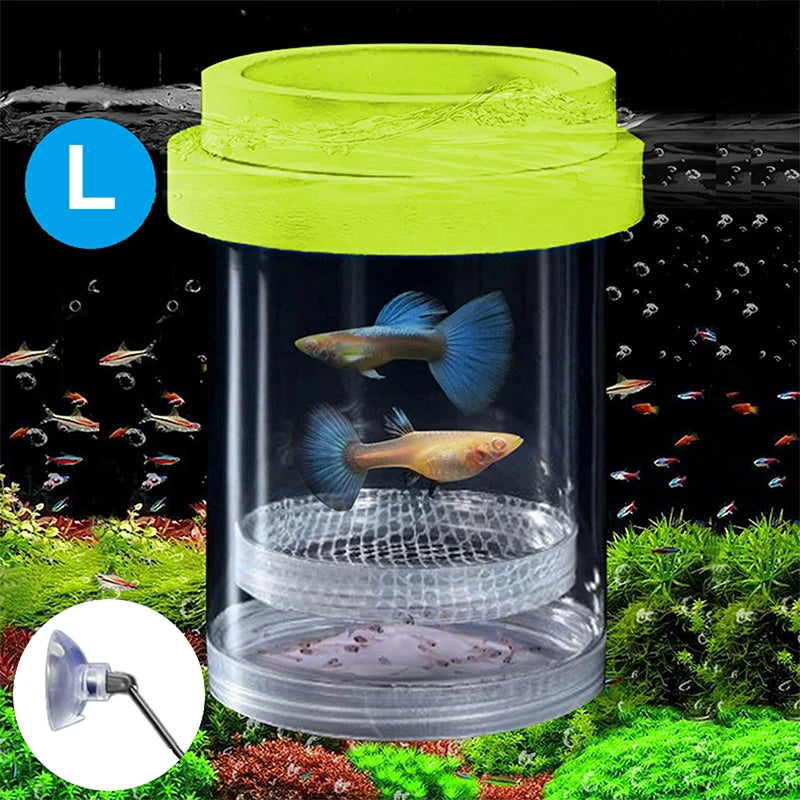 【E】Floating Fish Breeding Isolation Box With Suction Cups 270°Flowing Water Propagation Separate Parent And Baby Fishes