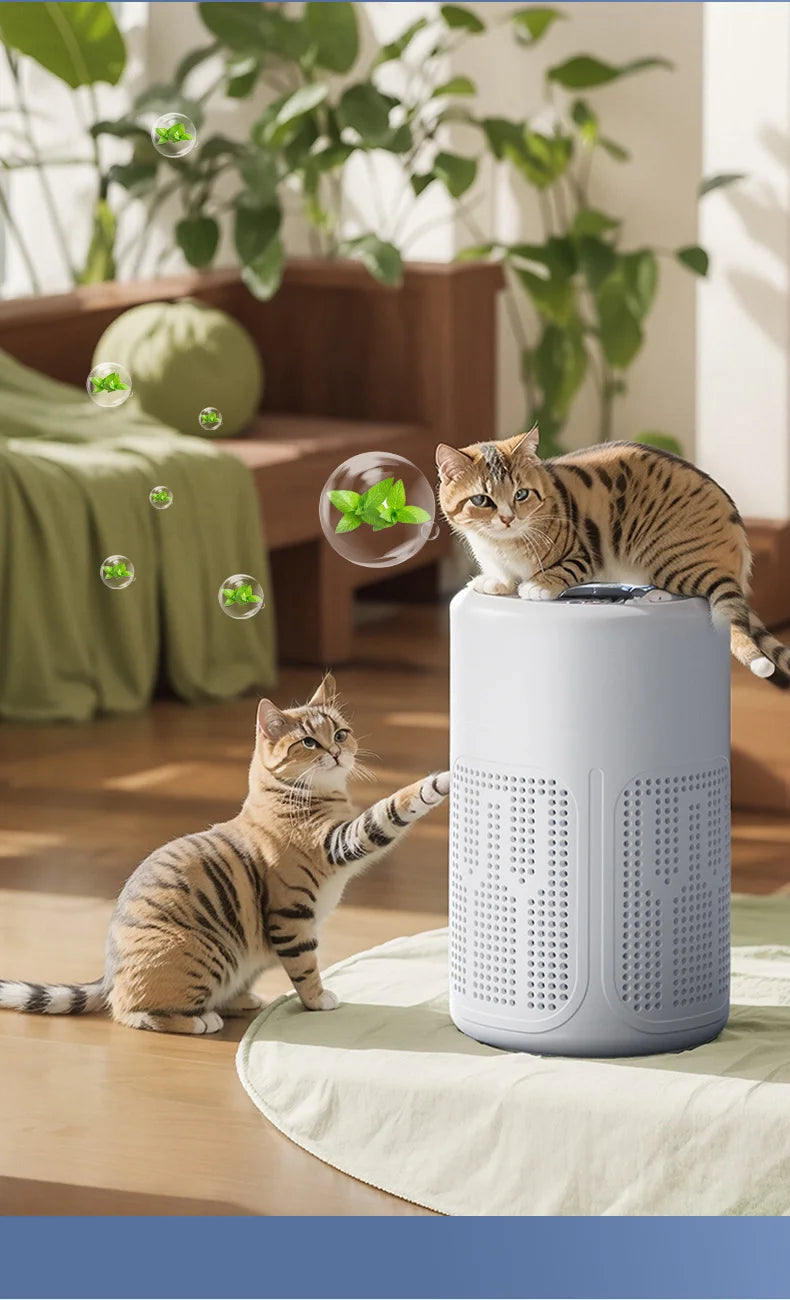 Mini Desktop Air Purifier HEPA Filter With Negative Ion Technology Eliminates Formaldehyde Odors Smoke And Dust Particles