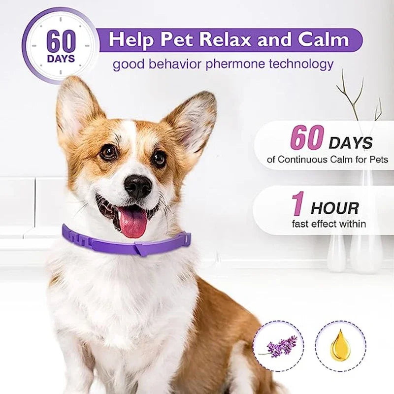New Release Dog Calming Pheromone Collar cat Relieve Anxiety Adjustable Comfortable Collar For Puppy Kitten Large Dog Accessorie