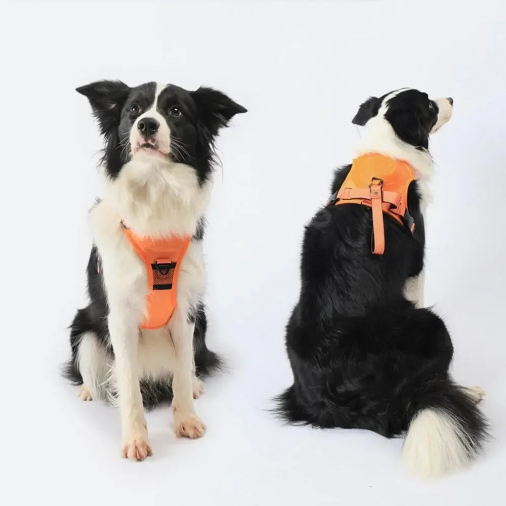 Dogs Explosion-proof Punch Breathable Dog Collar Harness for Small Medium Large Adjustable Pet Harness Vest Outdoor Training