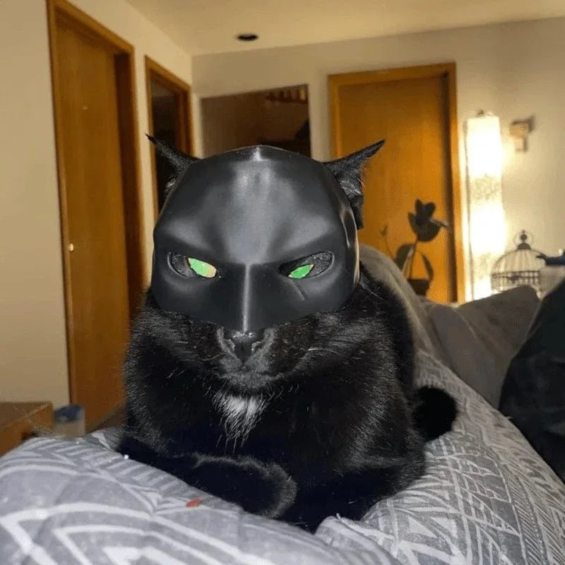 Bat Cat Avenger Mask for Halloween, Black Cosplay Hat Cat Funny Toys Cool Superhero Cat Masks Pet Supplies Photos Props