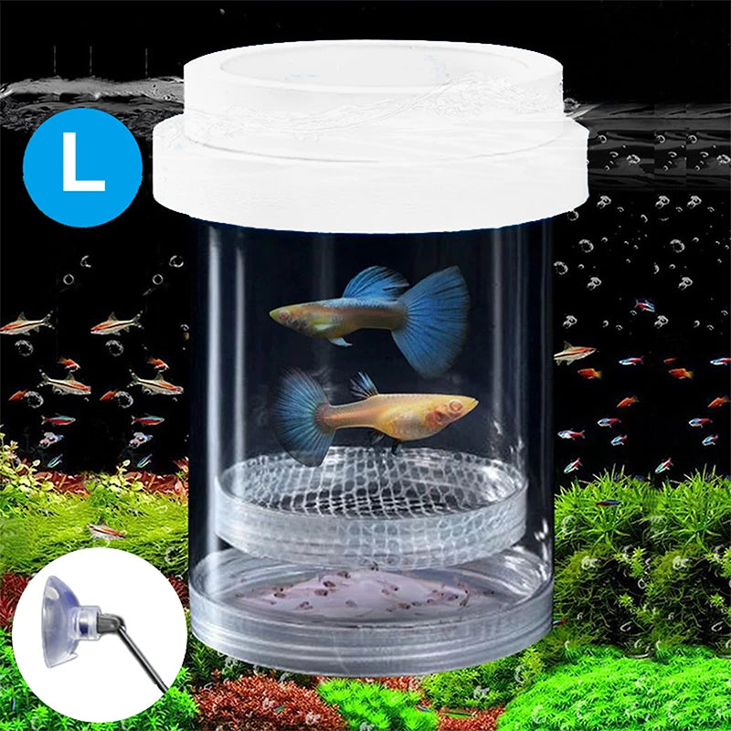 【E】Floating Fish Breeding Isolation Box With Suction Cups 270°Flowing Water Propagation Separate Parent And Baby Fishes