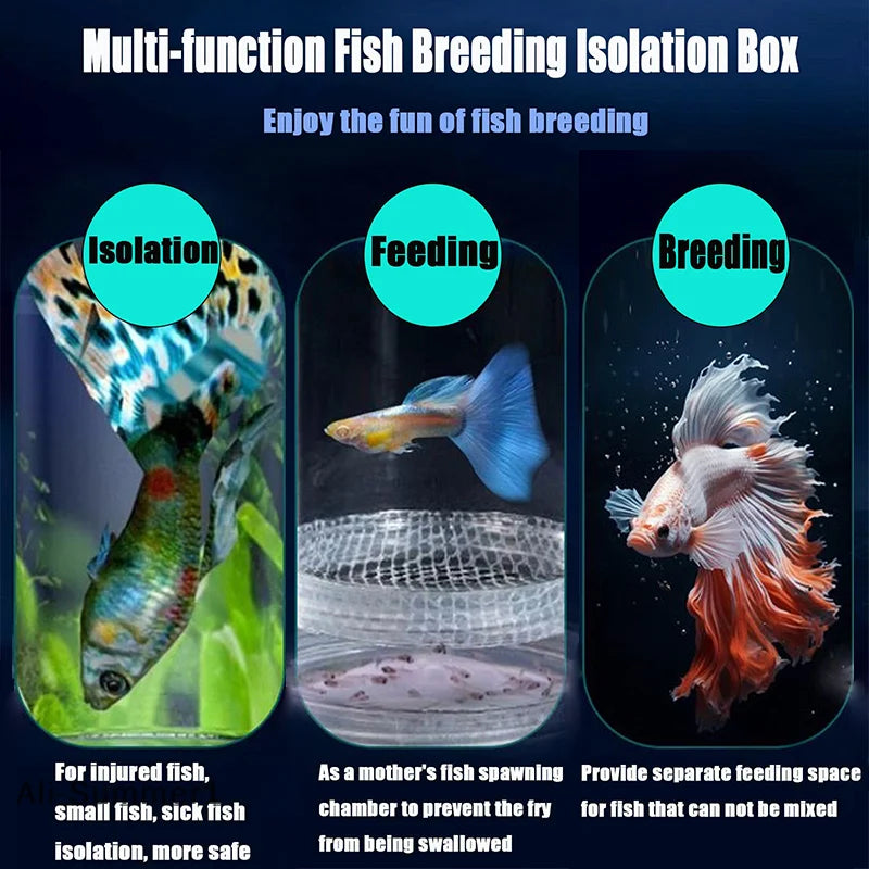 【E】Floating Fish Breeding Isolation Box With Suction Cups 270°Flowing Water Propagation Separate Parent And Baby Fishes