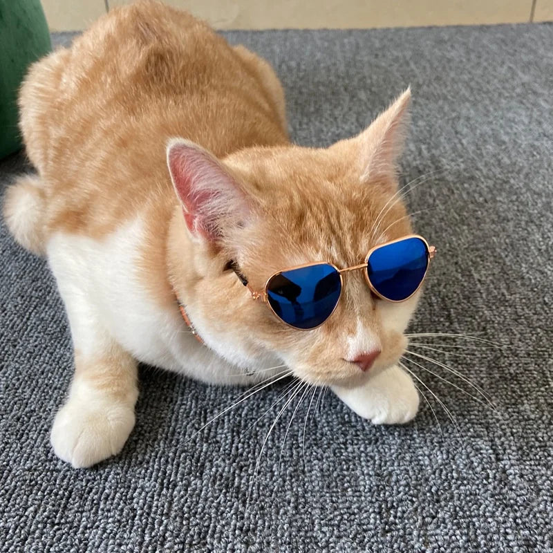Non-Slip Cat Glasses Pet Accessories Small Dog Sunglasses Puppy Kitty Cosplay Costume Photo Props Cute Animal Eyewear