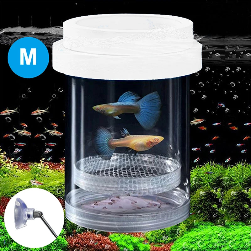 【E】Floating Fish Breeding Isolation Box With Suction Cups 270°Flowing Water Propagation Separate Parent And Baby Fishes