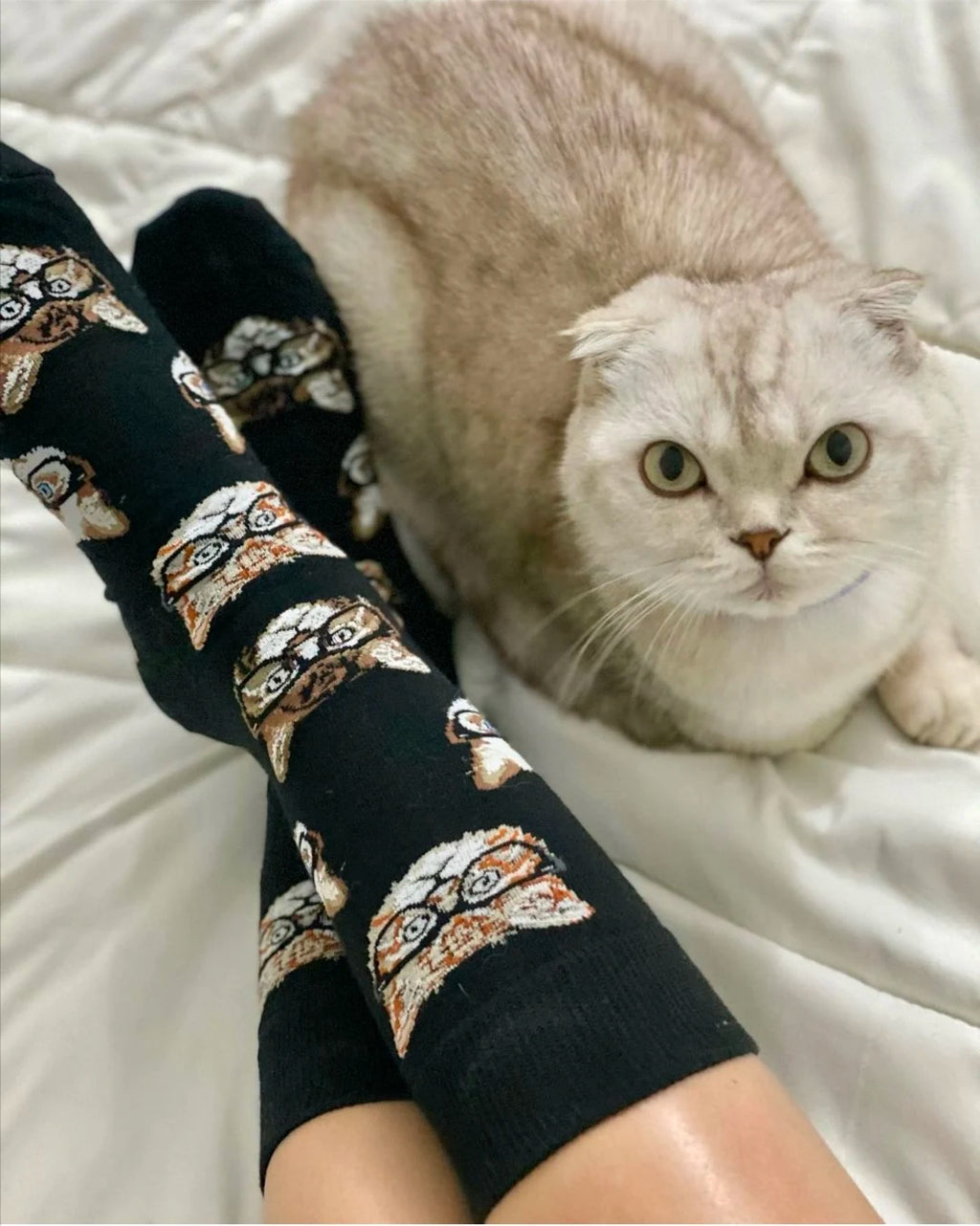 10 pairs of food pattern men's socks irregular color women's socks street trend skateboarding socks