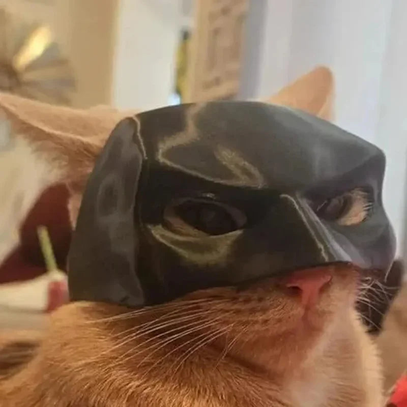 Bat Cat Avenger Mask for Halloween, Black Cosplay Hat Cat Funny Toys Cool Superhero Cat Masks Pet Supplies Photos Props