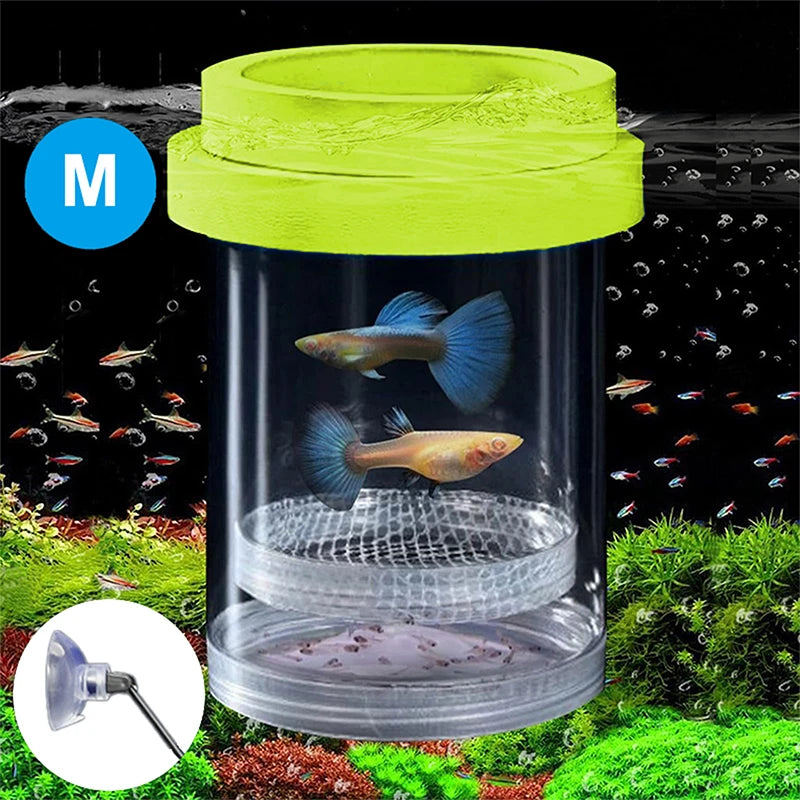 【E】Floating Fish Breeding Isolation Box With Suction Cups 270°Flowing Water Propagation Separate Parent And Baby Fishes