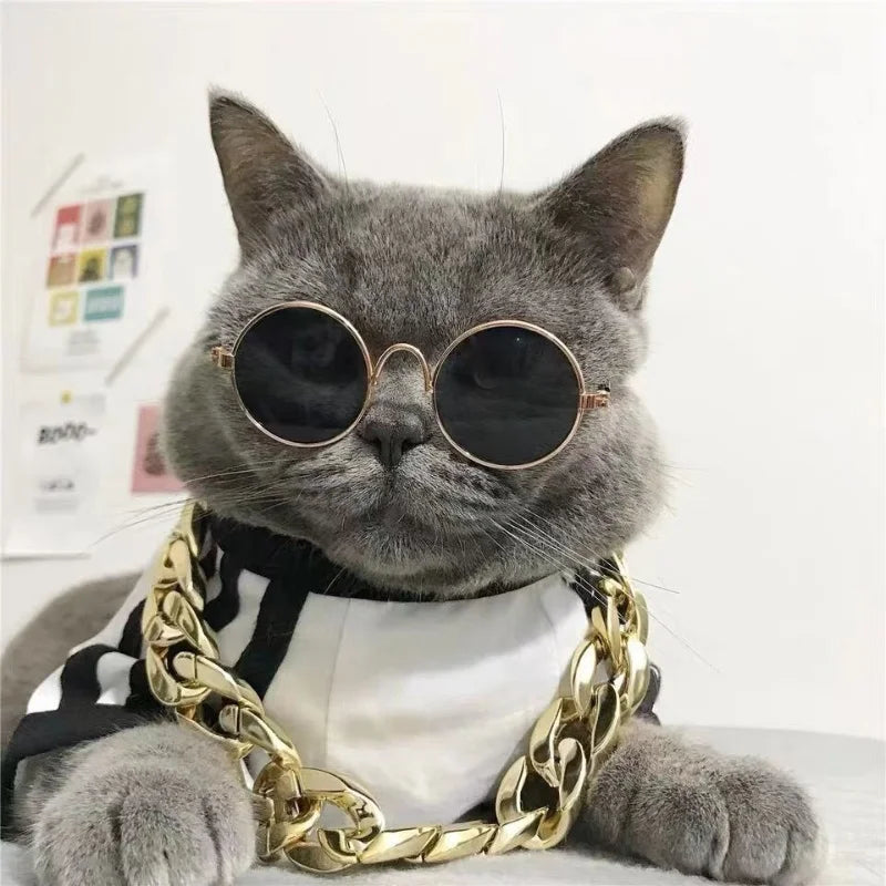 Non-Slip Cat Glasses Pet Accessories Small Dog Sunglasses Puppy Kitty Cosplay Costume Photo Props Cute Animal Eyewear
