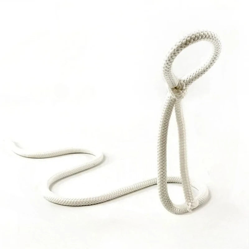 Creative Personality Fashion Wine Bottle Holder Suspended Wrought Iron Rope Chain Wine Bottle Holder Snake Ornament Decoration