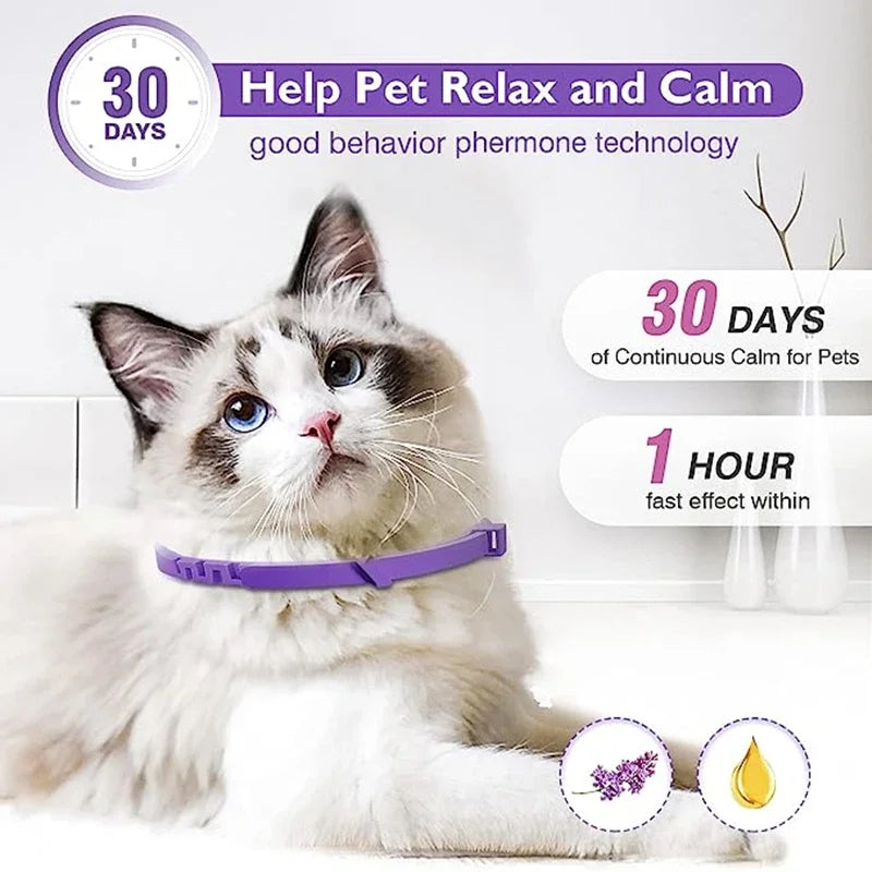 New Release Dog Calming Pheromone Collar cat Relieve Anxiety Adjustable Comfortable Collar For Puppy Kitten Large Dog Accessorie