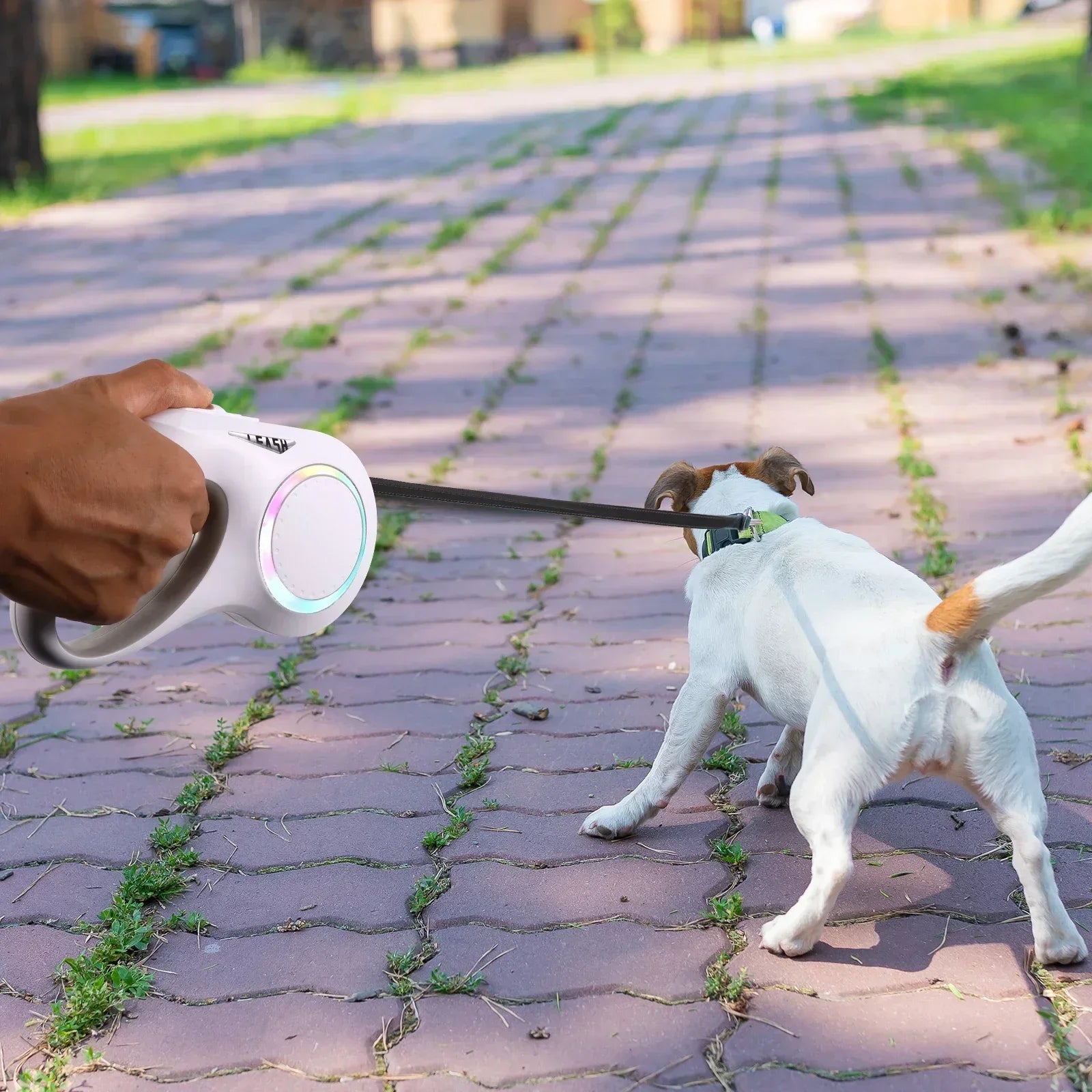 5m LED Flashlight Dog Leash Automatic Retractable Pet Luminous Straps Puppy Walking Night Outdoor Walking Non-Slip Handle