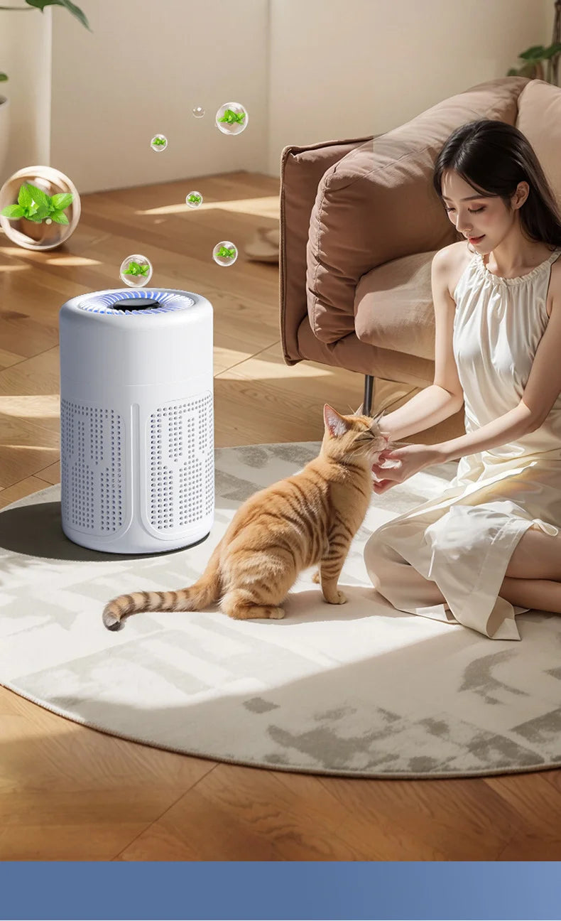 Mini Desktop Air Purifier HEPA Filter With Negative Ion Technology Eliminates Formaldehyde Odors Smoke And Dust Particles