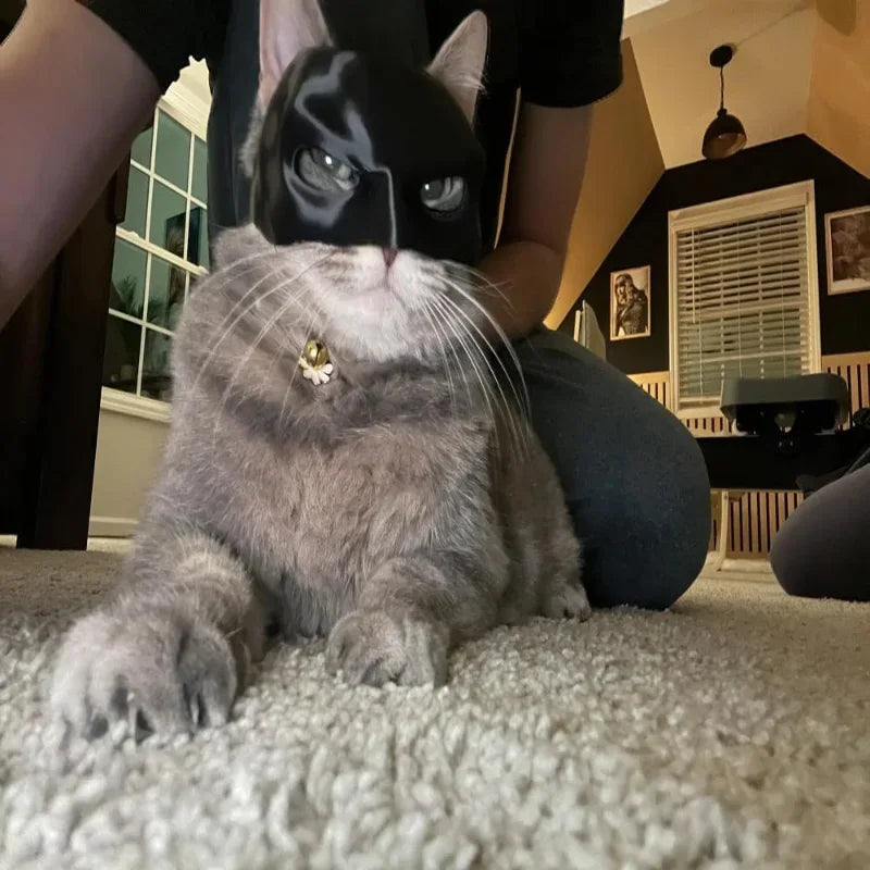 Black Bat Cat Avenger Mask Halloween Cosplay Hat Cat Funny Toys Cool Superhero Cat Masks Pet Supplies Photos Props