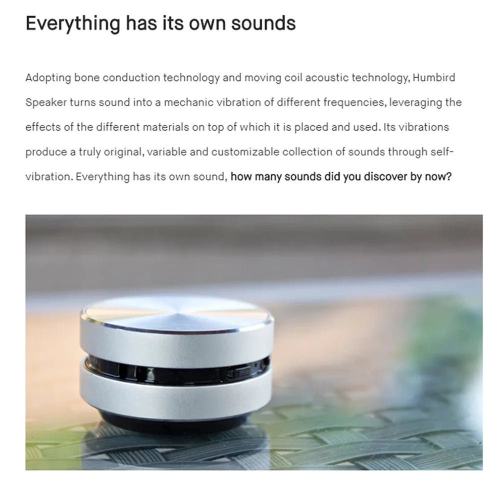 Hot Mini Bluetooth Speaker  Wireless TWS Stereo Dual Sound Box Hummingbird Bone Conduction Speakers With FM Radio Dropshipping