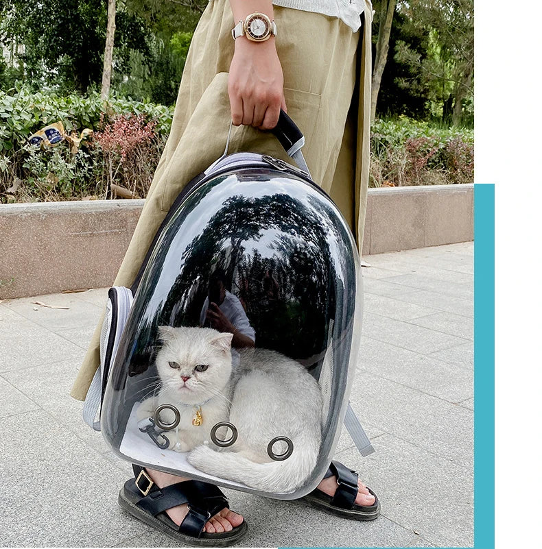 Clear out pet package - pet panoramic space capsule - cat outdoor portable transparent cat outdoor box - backpack