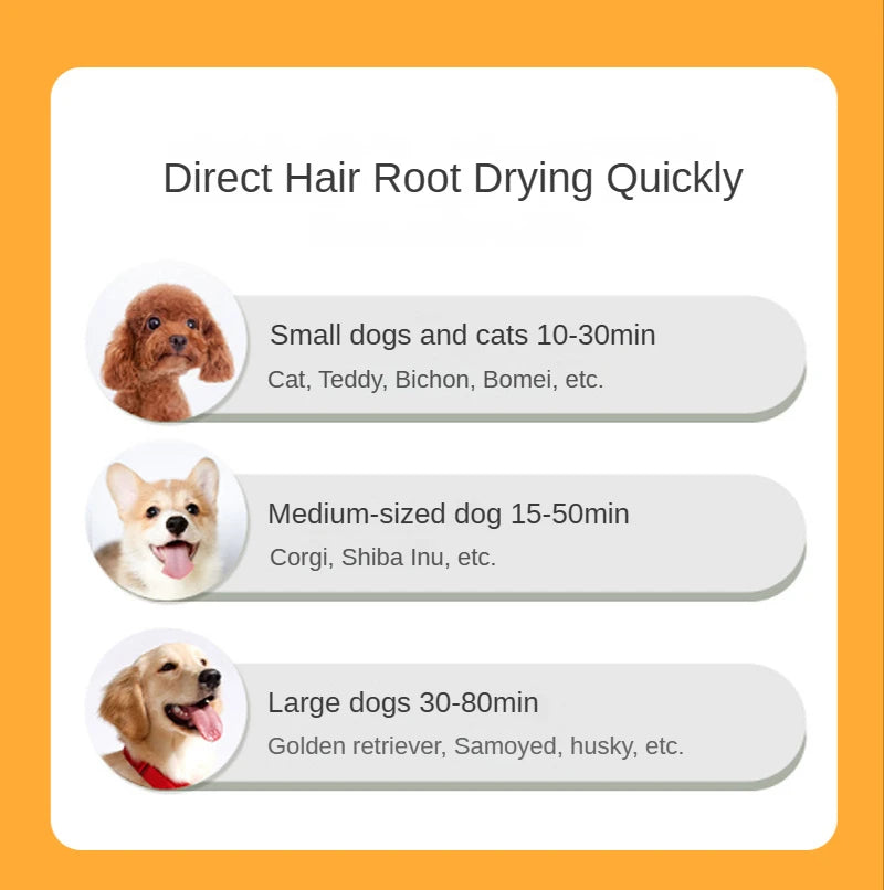 2-In-1 Pet Dog Dryer Quiet Dog Hair Dryers and Comb Brush Grooming Kitten Cat Hair Comb Puppy Fur Blower Adjustable Temprature