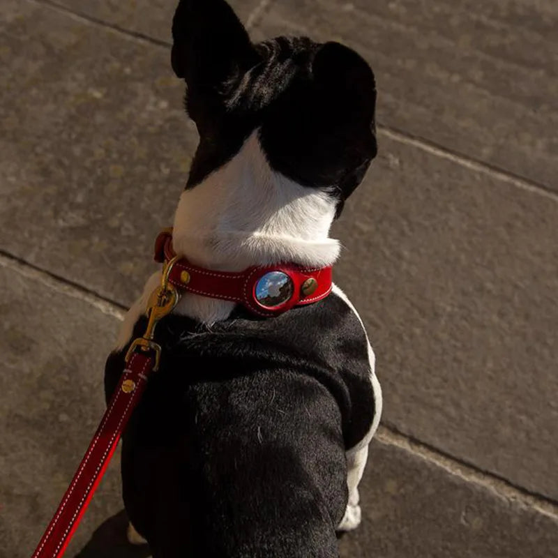 Luxury Genuine Leather Airtags Pet Collar Adjustable Dog Necklace For Puppy Medium Dog Anti-lost Pet Collar With Airtag Holder