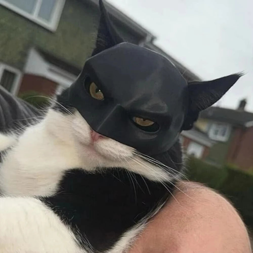 Black Bat Cat Avenger Mask Halloween Cosplay Hat Cat Funny Toys Cool Superhero Cat Masks Pet Supplies Photos Props