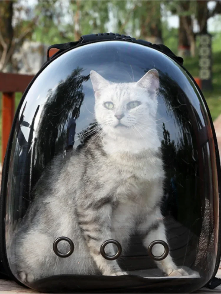 Clear out pet package - pet panoramic space capsule - cat outdoor portable transparent cat outdoor box - backpack