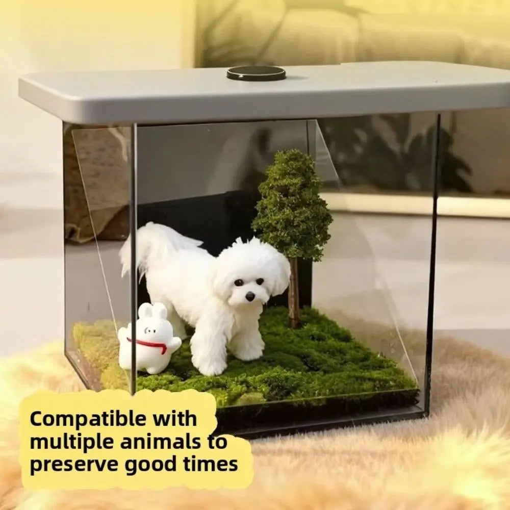 Acrylic Pet Holographic Projection Digital House Pet Souvenirs Pet Projection Souvenir Tool Cat Projection Box 3D Dog Video Box