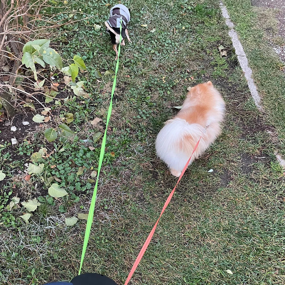 Auto Retractable Double-Ended Dog Leash 3m with LED Flashlight Waste Bag Box Roulette 360 Degree Dual Traction Rope Pet Supplies