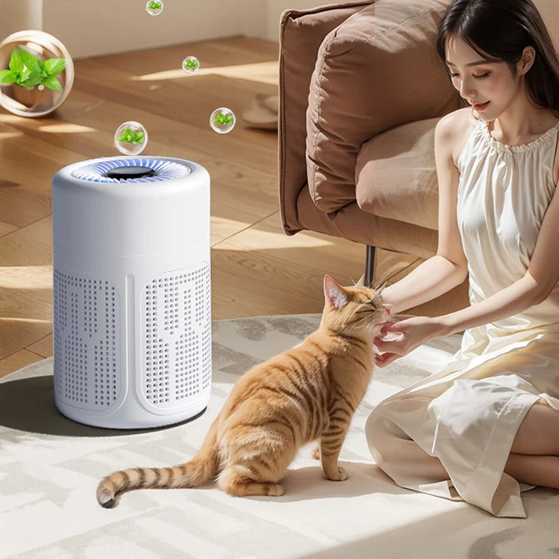 Mini Desktop Air Purifier HEPA Filter With Negative Ion Technology Eliminates Formaldehyde Odors Smoke And Dust Particles