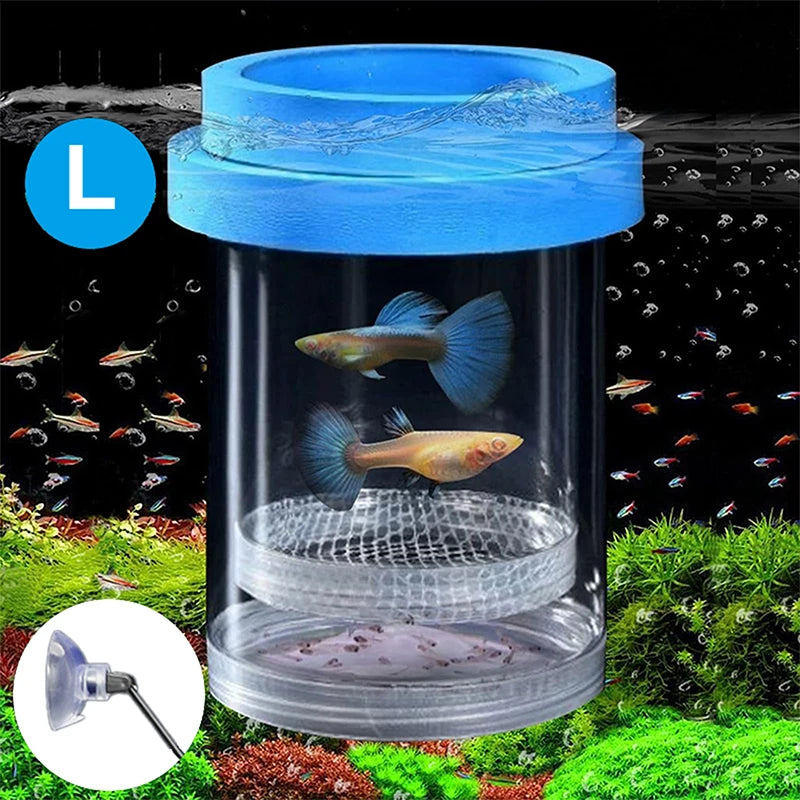 【E】Floating Fish Breeding Isolation Box With Suction Cups 270°Flowing Water Propagation Separate Parent And Baby Fishes