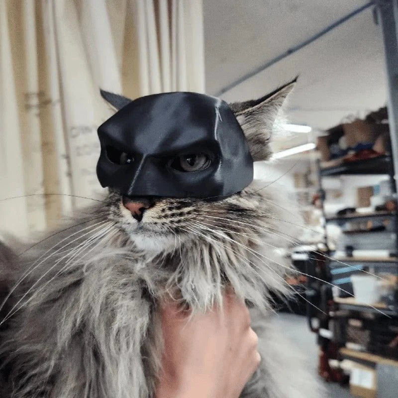 Bat Cat Mask Pet Decoration Mask for Cat and Dogs Spooky Half Mask Pet Accseeiories Pet Funny Party Make-up Decoration