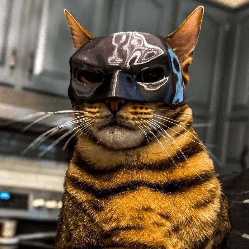 Black Bat Cat Avenger Mask Halloween Cosplay Hat Cat Funny Toys Cool Superhero Cat Masks Pet Supplies Photos Props