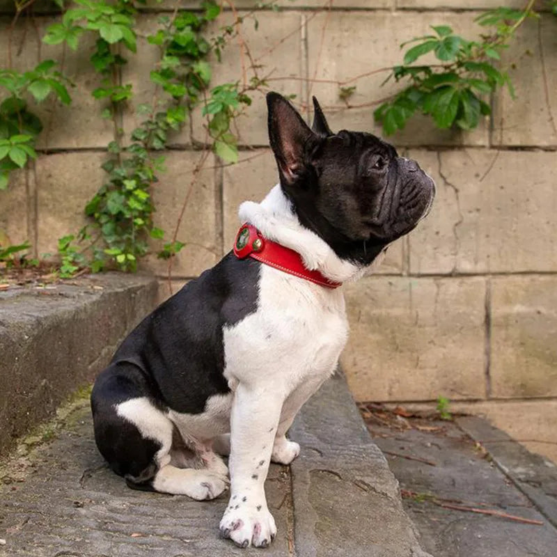 Luxury Genuine Leather Airtags Pet Collar Adjustable Dog Necklace For Puppy Medium Dog Anti-lost Pet Collar With Airtag Holder