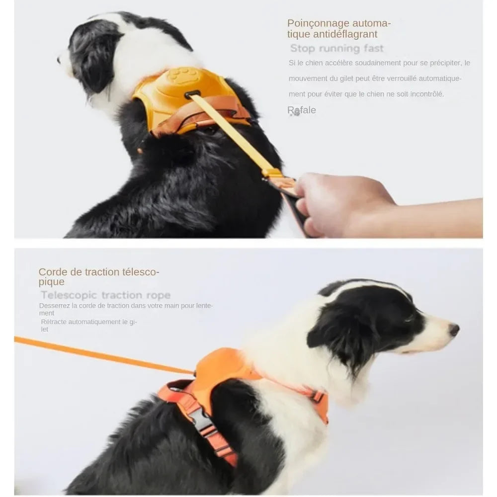 Dogs Explosion-proof Punch Breathable Dog Collar Harness for Small Medium Large Adjustable Pet Harness Vest Outdoor Training