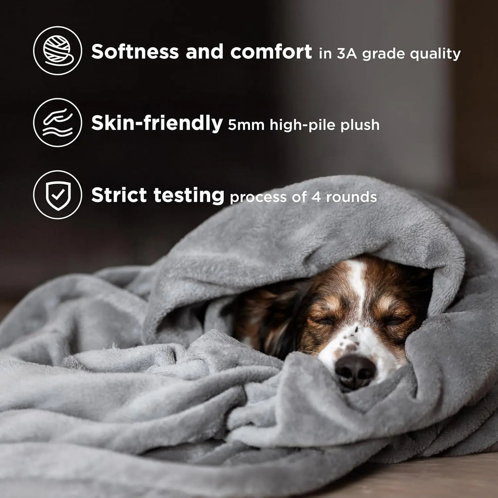 Eras Tour Flannel Throw Blanket  Lightweight Portable Tayloring Print for Bedding  Outdoor Use