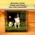 Acrylic Pet Holographic Projection Digital House Pet Souvenirs Pet Projection Souvenir Tool Cat Projection Box 3D Dog Video Box