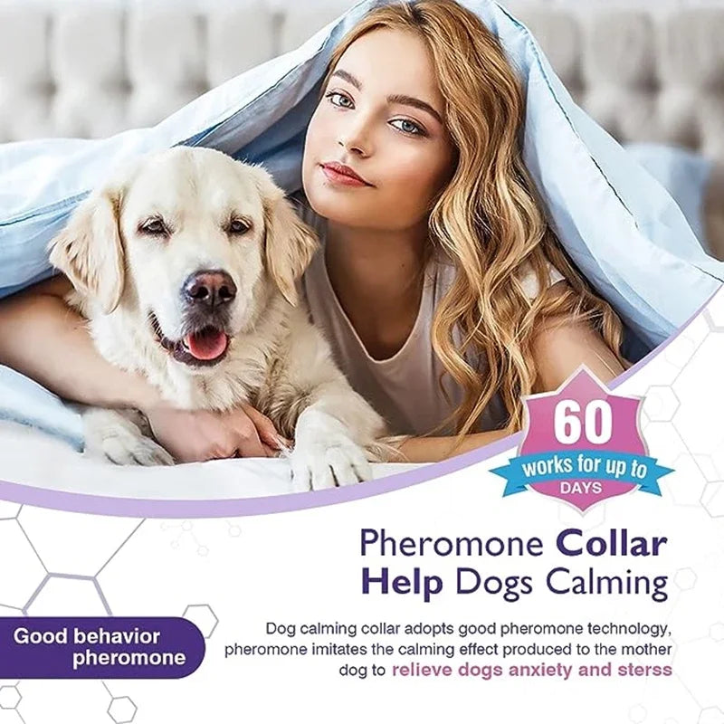 New Release Dog Calming Pheromone Collar cat Relieve Anxiety Adjustable Comfortable Collar For Puppy Kitten Large Dog Accessorie
