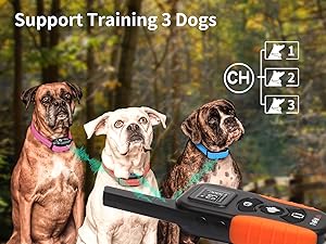 No Shock Dog Training Collar with Remote 3300ft Range,Vibrating Dog Collar Waterproof&Rechargeable Electric Collar for Dogs
