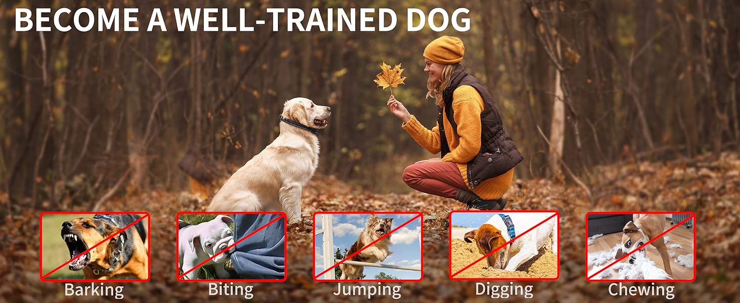 No Shock Dog Training Collar with Remote 3300ft Range,Vibrating Dog Collar Waterproof&Rechargeable Electric Collar for Dogs